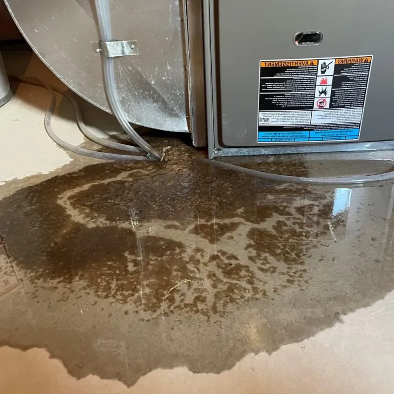 Pipe Burst and Leak Restoration in Akron, IN