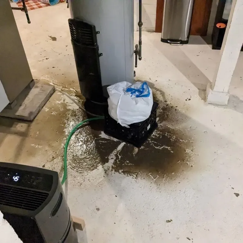 Sewage Backup Cleanup Service in Akron, IN